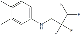 3,4-dimethyl-N-(2,2,3,3-tetrafluoropropyl)aniline Struktur