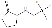 3-[(2,2,2-trifluoroethyl)amino]oxolan-2-one Struktur