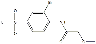 3-bromo-4-(2-methoxyacetamido)benzene-1-sulfonyl chloride Struktur