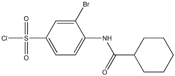 3-bromo-4-cyclohexaneamidobenzene-1-sulfonyl chloride Struktur