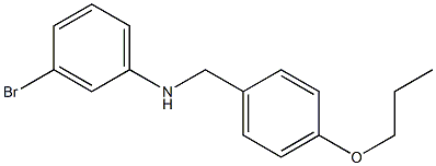 3-bromo-N-[(4-propoxyphenyl)methyl]aniline Struktur