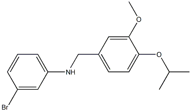 3-bromo-N-{[3-methoxy-4-(propan-2-yloxy)phenyl]methyl}aniline Struktur