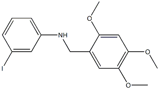 3-iodo-N-[(2,4,5-trimethoxyphenyl)methyl]aniline Struktur