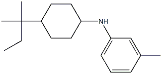 3-methyl-N-[4-(2-methylbutan-2-yl)cyclohexyl]aniline Struktur