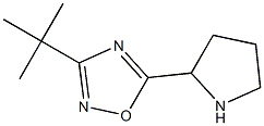 3-tert-butyl-5-(pyrrolidin-2-yl)-1,2,4-oxadiazole Struktur