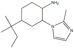 4-(1,1-dimethylpropyl)-2-(2-methyl-1H-imidazol-1-yl)cyclohexanamine Struktur