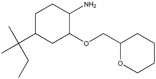 4-(2-methylbutan-2-yl)-2-(oxan-2-ylmethoxy)cyclohexan-1-amine Struktur