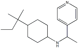 4-(2-methylbutan-2-yl)-N-[1-(pyridin-4-yl)ethyl]cyclohexan-1-amine Struktur