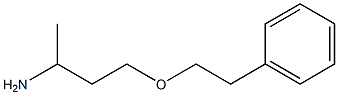 4-(2-phenylethoxy)butan-2-amine Struktur