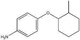 4-[(2-methylcyclohexyl)oxy]aniline Struktur