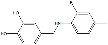 4-{[(2-fluoro-4-methylphenyl)amino]methyl}benzene-1,2-diol Struktur