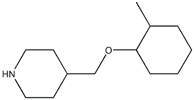 4-{[(2-methylcyclohexyl)oxy]methyl}piperidine Struktur