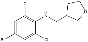 4-bromo-2,6-dichloro-N-(oxolan-3-ylmethyl)aniline Struktur