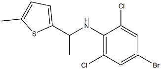 4-bromo-2,6-dichloro-N-[1-(5-methylthiophen-2-yl)ethyl]aniline Struktur