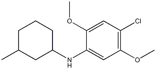 4-chloro-2,5-dimethoxy-N-(3-methylcyclohexyl)aniline Struktur