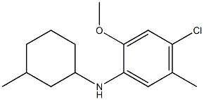 4-chloro-2-methoxy-5-methyl-N-(3-methylcyclohexyl)aniline Struktur