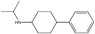 4-phenyl-N-(propan-2-yl)cyclohexan-1-amine Struktur