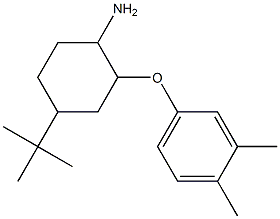 4-tert-butyl-2-(3,4-dimethylphenoxy)cyclohexan-1-amine Struktur