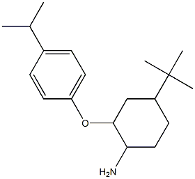 4-tert-butyl-2-[4-(propan-2-yl)phenoxy]cyclohexan-1-amine Struktur