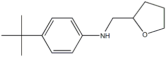 4-tert-butyl-N-(oxolan-2-ylmethyl)aniline Struktur