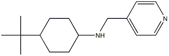 4-tert-butyl-N-(pyridin-4-ylmethyl)cyclohexan-1-amine Struktur