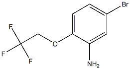 5-bromo-2-(2,2,2-trifluoroethoxy)aniline Struktur