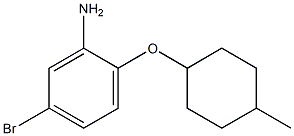 5-bromo-2-[(4-methylcyclohexyl)oxy]aniline Struktur