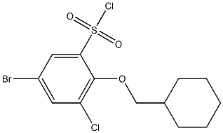 5-bromo-3-chloro-2-(cyclohexylmethoxy)benzene-1-sulfonyl chloride Struktur