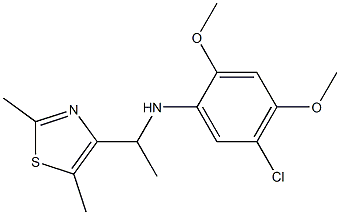 5-chloro-N-[1-(2,5-dimethyl-1,3-thiazol-4-yl)ethyl]-2,4-dimethoxyaniline Struktur