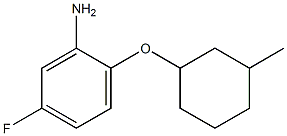 5-fluoro-2-[(3-methylcyclohexyl)oxy]aniline Struktur