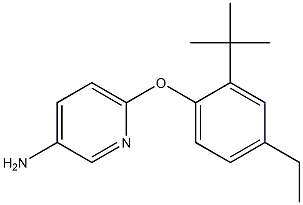 6-(2-tert-butyl-4-ethylphenoxy)pyridin-3-amine Struktur