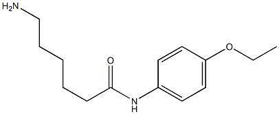 6-amino-N-(4-ethoxyphenyl)hexanamide Struktur