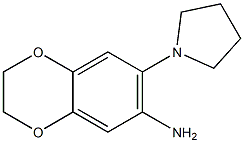 7-(pyrrolidin-1-yl)-2,3-dihydro-1,4-benzodioxin-6-amine Struktur