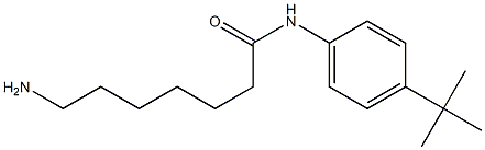 7-amino-N-(4-tert-butylphenyl)heptanamide Struktur