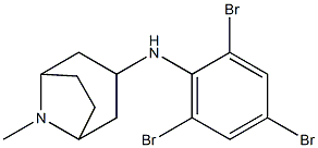 8-methyl-N-(2,4,6-tribromophenyl)-8-azabicyclo[3.2.1]octan-3-amine Struktur