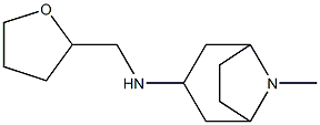 8-methyl-N-(oxolan-2-ylmethyl)-8-azabicyclo[3.2.1]octan-3-amine Struktur