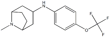 8-methyl-N-[4-(trifluoromethoxy)phenyl]-8-azabicyclo[3.2.1]octan-3-amine Struktur