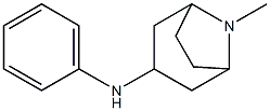 8-methyl-N-phenyl-8-azabicyclo[3.2.1]octan-3-amine Struktur