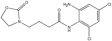 N-(2-amino-4,6-dichlorophenyl)-4-(2-oxo-1,3-oxazolidin-3-yl)butanamide Struktur