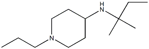 N-(2-methylbutan-2-yl)-1-propylpiperidin-4-amine Struktur