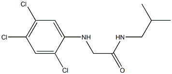 N-(2-methylpropyl)-2-[(2,4,5-trichlorophenyl)amino]acetamide Struktur