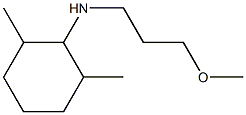 N-(3-methoxypropyl)-2,6-dimethylcyclohexan-1-amine Struktur