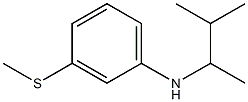 N-(3-methylbutan-2-yl)-3-(methylsulfanyl)aniline Struktur