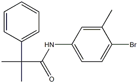 N-(4-bromo-3-methylphenyl)-2-methyl-2-phenylpropanamide Struktur