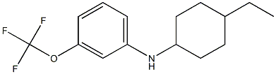 N-(4-ethylcyclohexyl)-3-(trifluoromethoxy)aniline Struktur