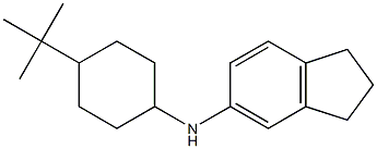 N-(4-tert-butylcyclohexyl)-2,3-dihydro-1H-inden-5-amine Struktur