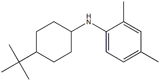 N-(4-tert-butylcyclohexyl)-2,4-dimethylaniline Struktur