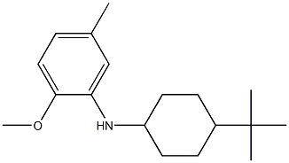 N-(4-tert-butylcyclohexyl)-2-methoxy-5-methylaniline Struktur