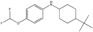 N-(4-tert-butylcyclohexyl)-4-(difluoromethoxy)aniline Struktur