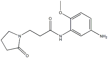 N-(5-amino-2-methoxyphenyl)-3-(2-oxopyrrolidin-1-yl)propanamide Struktur